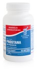 Prostate Health Promotion