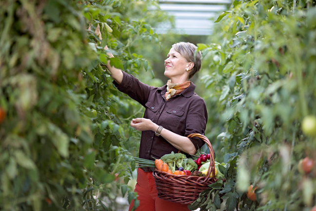 stop dieting start living