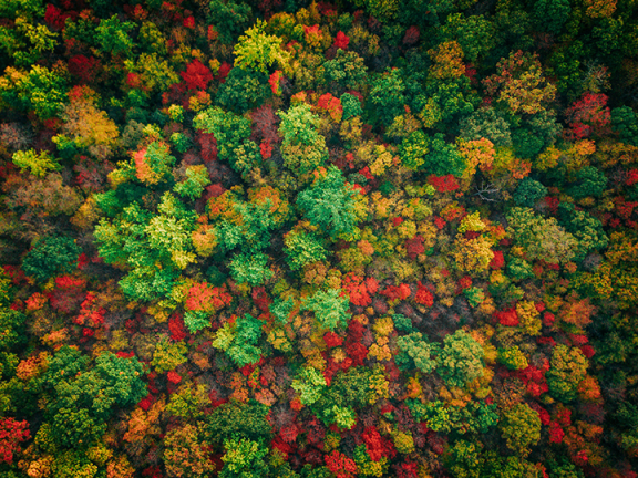 stop dieting start living