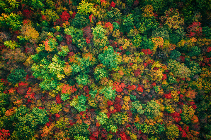 stop dieting start living